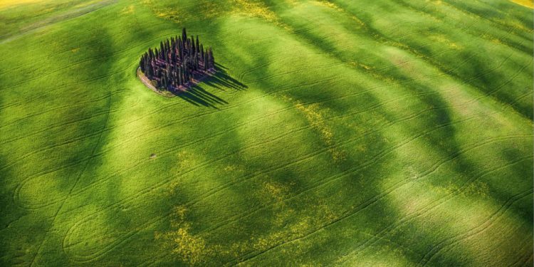 © FOTO: MAURO PAGLIAI/ SKYPIXEL
„Zeleni talasi“ – drugo mesto u kategoriji „Entuzijaste – lepota“