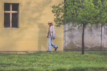 Povratak/ Photo: Facebook/ Povratak/ The Return