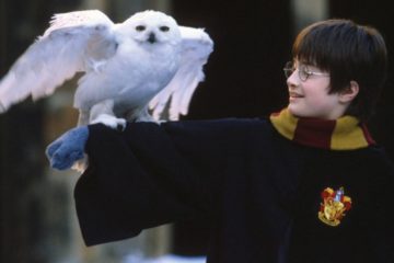 Hari Poter/ Photo: imdb.com