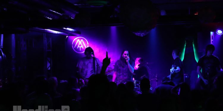 Zli Metalci: Photo: AleX