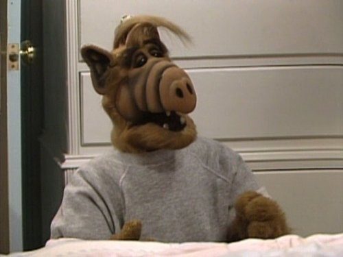 ALF/Photo: imdb.com
