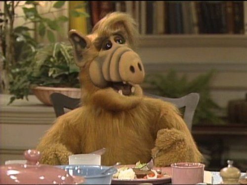 ALF/Photo: imdb.com
