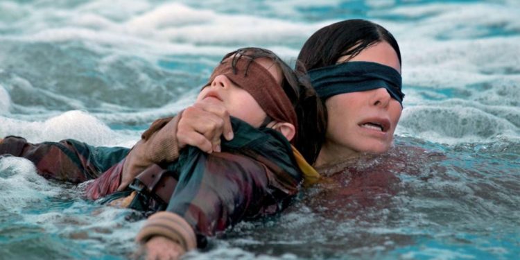 Bird Box/Promo
