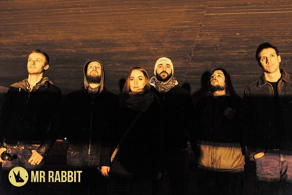 Mr. Rabbit/ Photo: Boris Jovanović