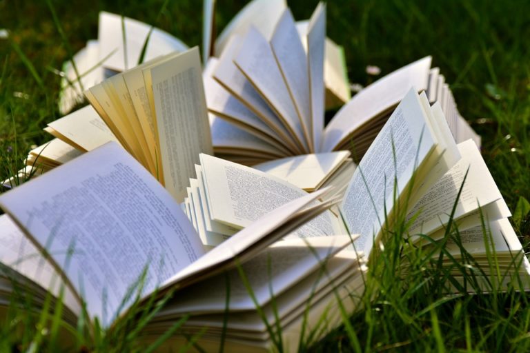 U nedelju počinje Treći književni maraton “Beogradski čitač” u Čuburskom parku