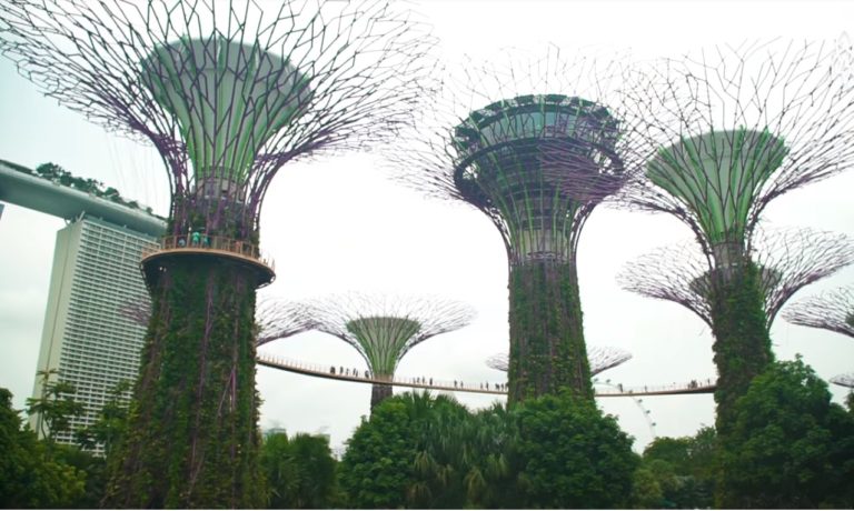 Da li ste za šetnju… Gradski oci u Singapuru rešili da grad obogate zelenilom i … napravili mehaničku šumu