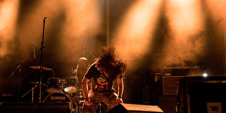 Cornix/ Photo: AleX
