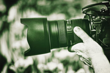 Photo: pixabay.com