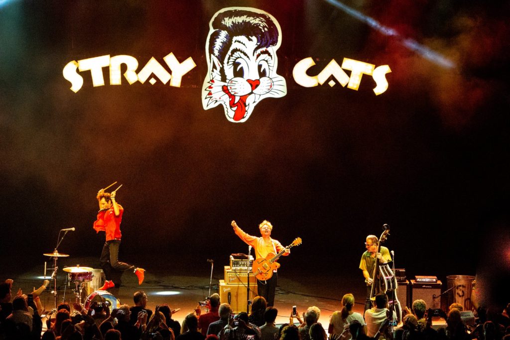 Stray Cats/Photo: facebook@Stray Catsa
