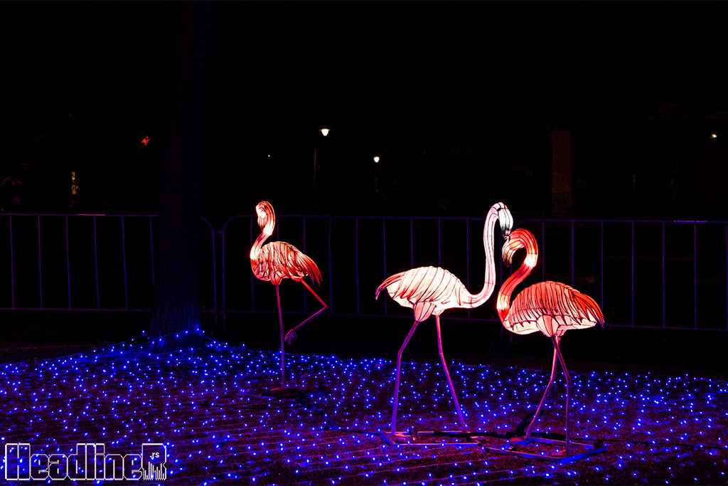 Kineski festival svetla/ Photo: AleX