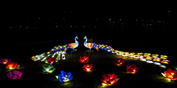 Kineski festival svetla/ Photo: Marina Pešić