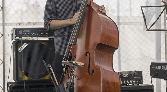 Dragan Ćalina Quartet (Art Avlija 2020)/ Photo: AleX