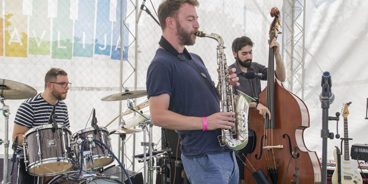 Dragan Ćalina Quartet (Art Avlija 2020)/ Photo: AleX