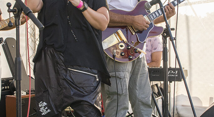 Di Luna Blues Band & Nataša Guberinić (Art Avlija 2020)/ Photo: AleX