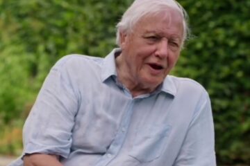 Dejvid Atenborou/Photo: printscreen Instagram davidattenborough