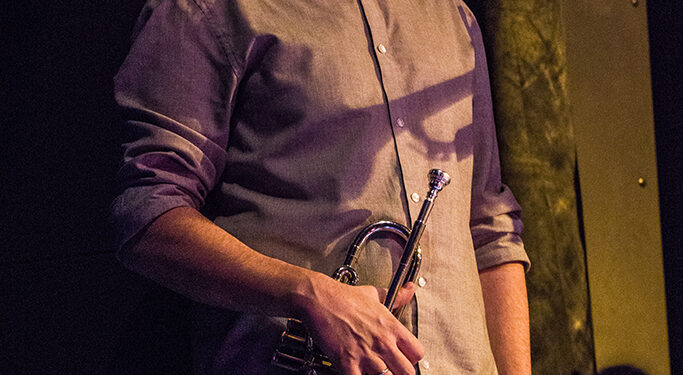 Di Luna All Stars Blues Band (Dom omladine Beograda)/ PhotoAleX