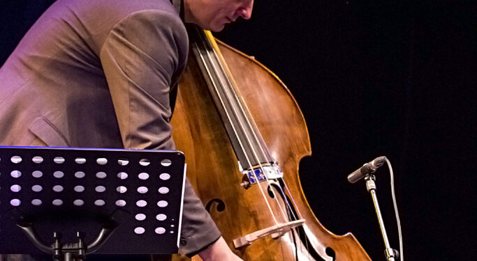 Nenad Vasilić (Beogradski jazz festival 2020)/ Photo: AleX
