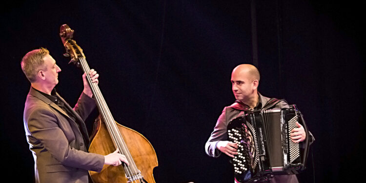 Nenad Vasilić trio (Beogradski jazz festival 2020)/ Photo: AleX