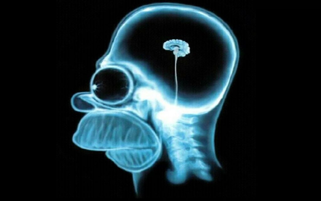 Homer Simpson brain/printscreen
