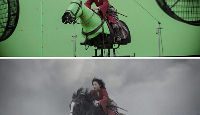 Mulan/ Photo: boredpanda.com