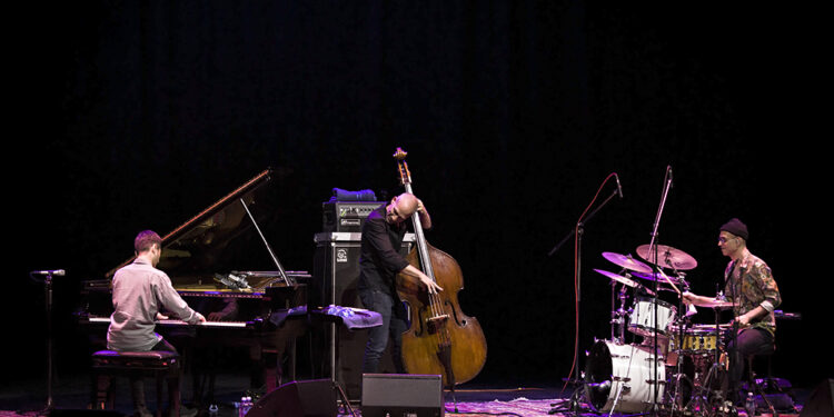 Avišaj Koen Trio/ Photo: AleX