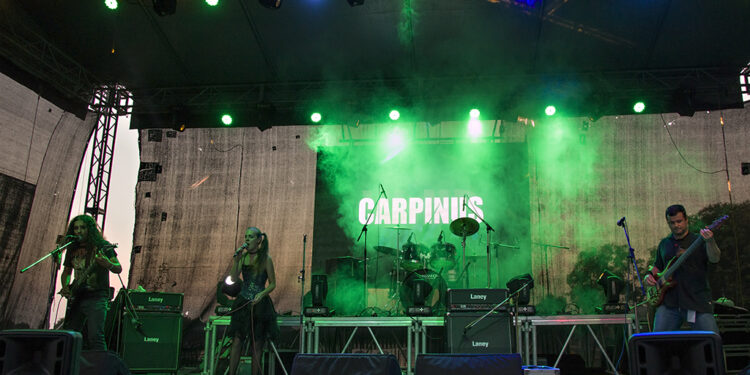 Carpinus (Wind Rock Up)/ Photo: AleX