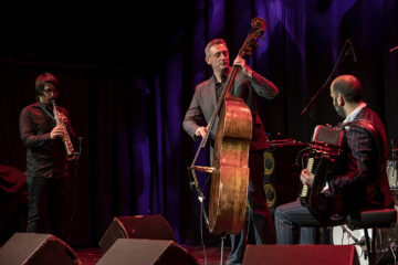 Nenad Vasilić Trio/ Photo: Peter Purgar