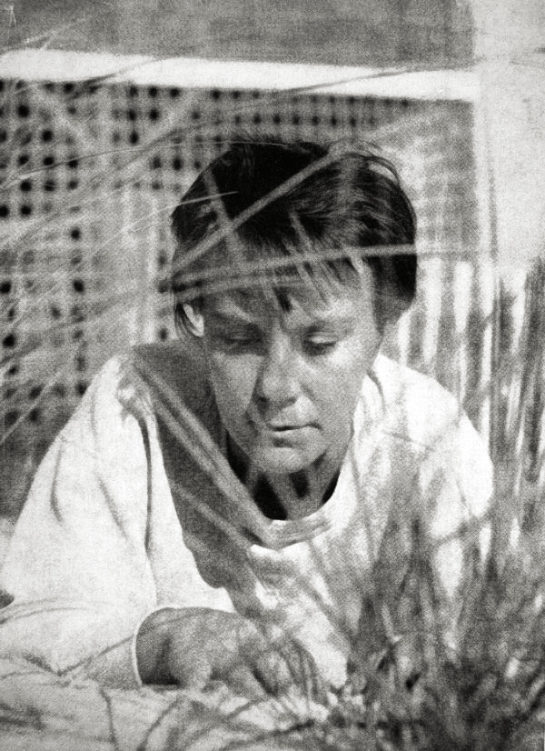 Portret iz prvog izdanja "Ubiti pticu rugalicu" (1960)/Photo: Truman Capote, wikipedia.org
