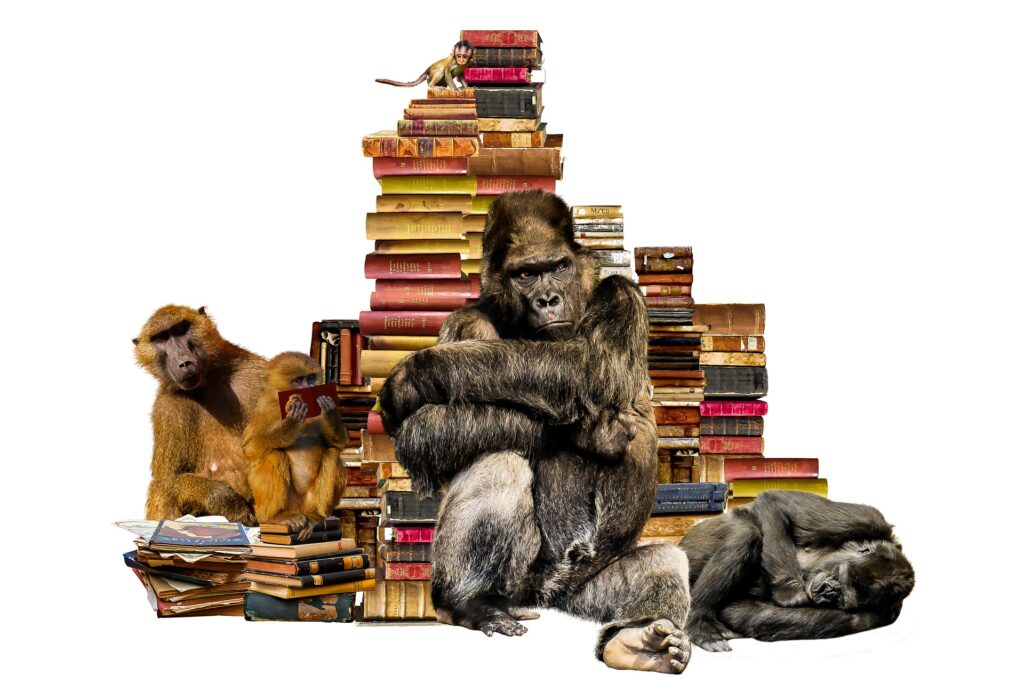 Knjige, budućnost/Photo: pixabay