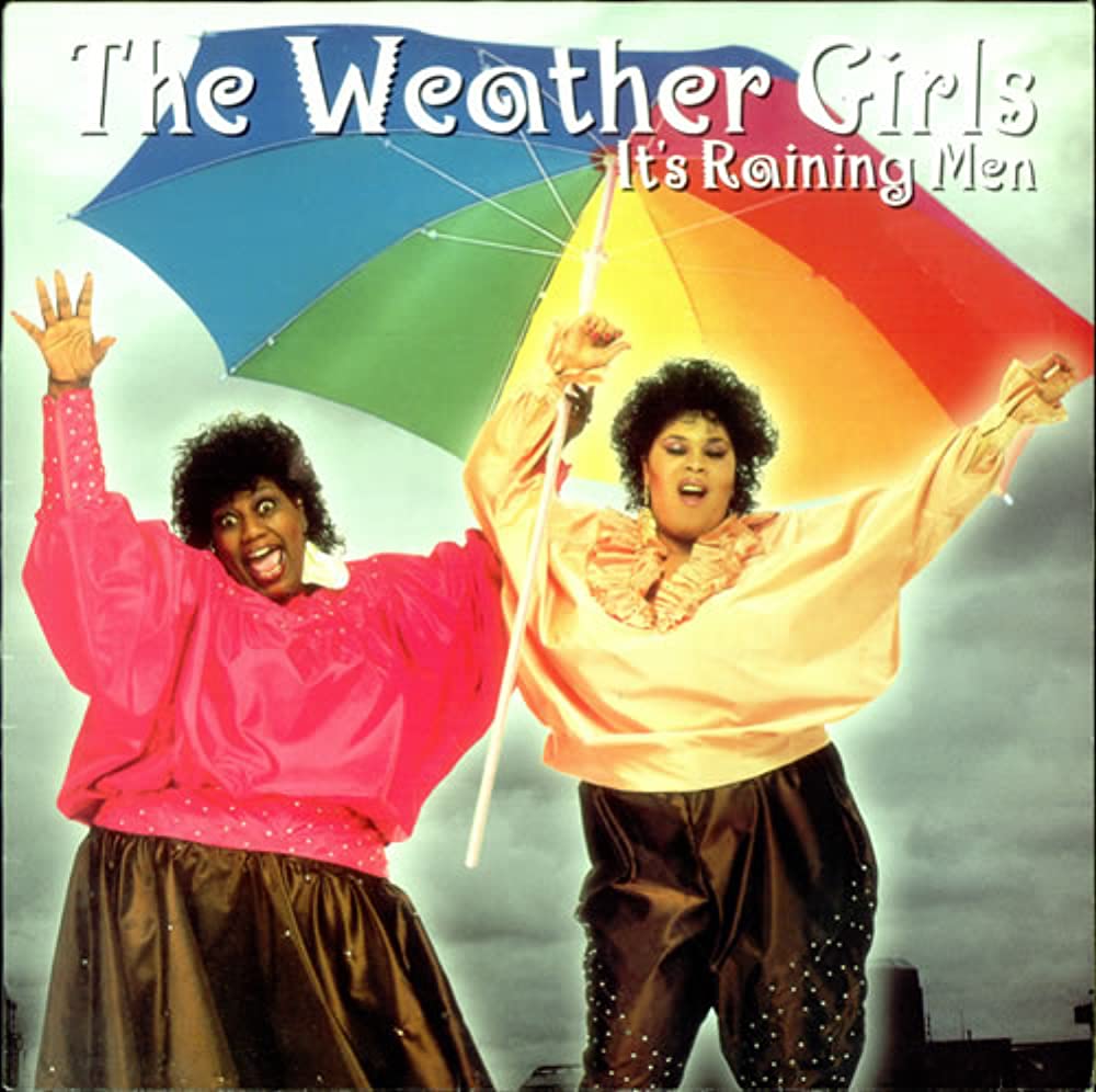 The Weather Girls - Its Raining Man, cover