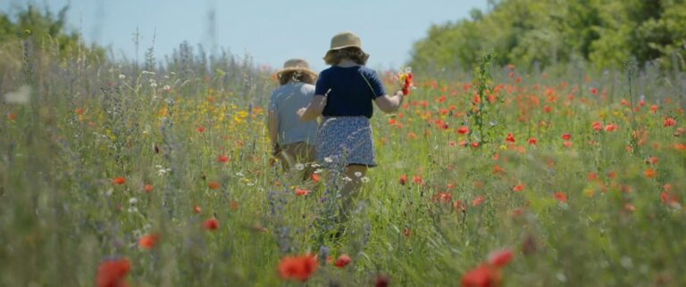 Poljska kinematografija U fokusu ovogodišnjeg Beldocsa