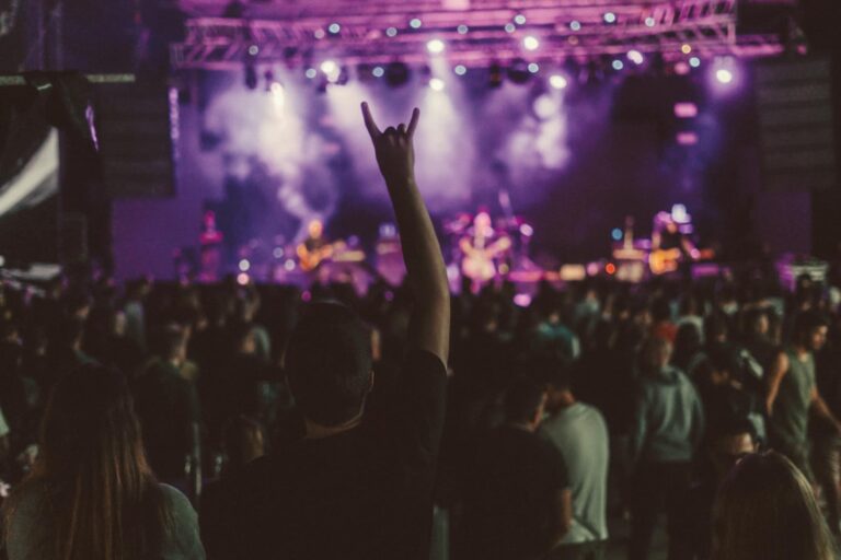 Zvuci punk rocka obeležili prvo veče Garden Festa