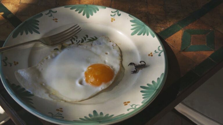 Enter Dok… Takmičarska selekcija DOK #8 festivala